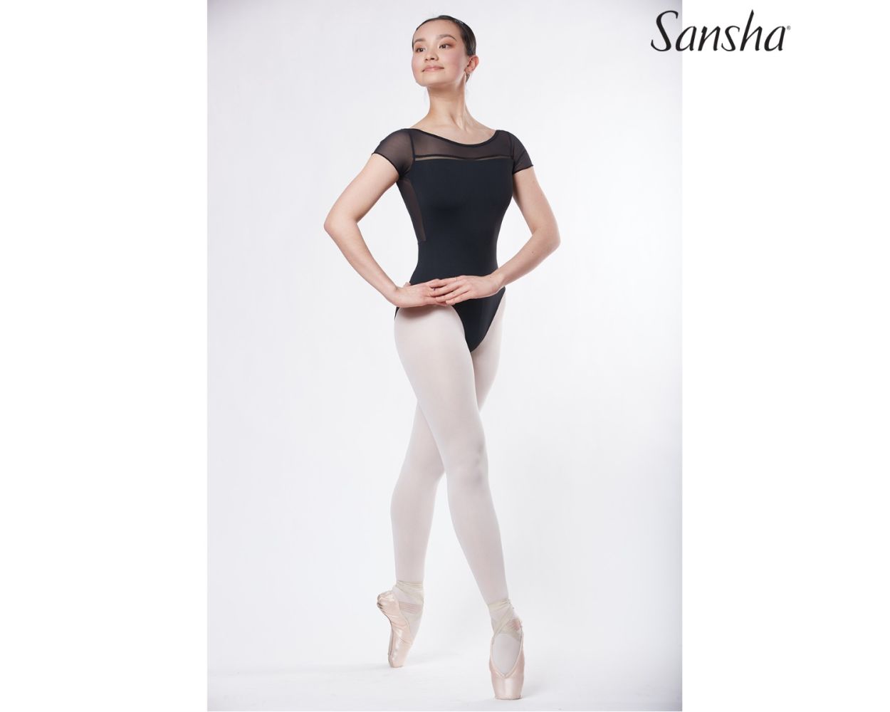 Sansha Leotard 50BO1079P | APHRODITE
