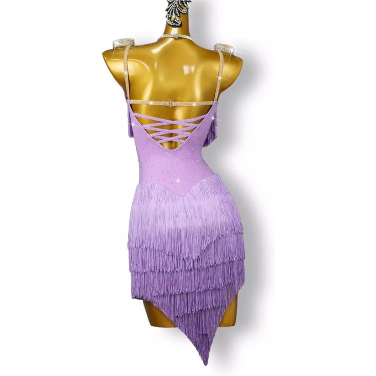 Lilac Fringe Latin Dance Dress