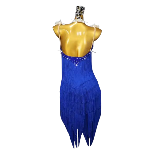 Royal Blue Fringe Latin Dance Dress