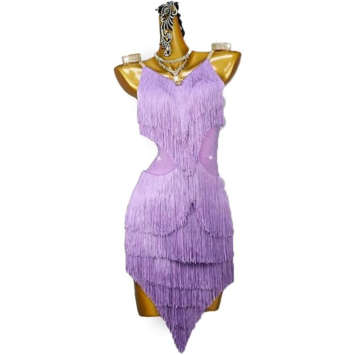 Lilac Fringe Latin Dance Dress