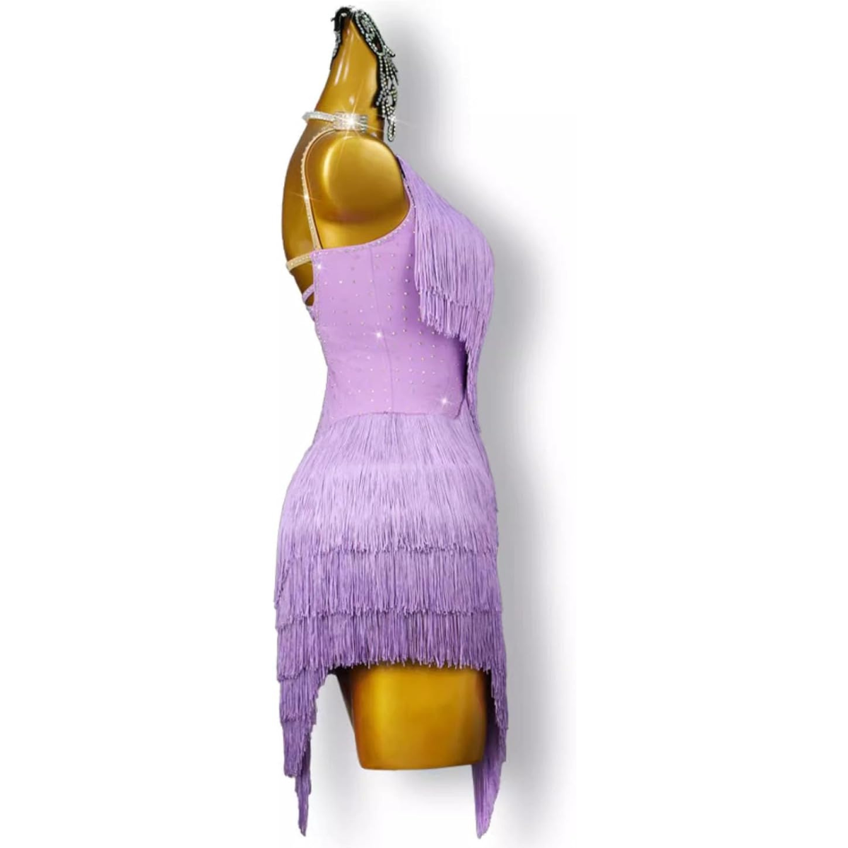 Lilac Fringe Latin Dance Dress