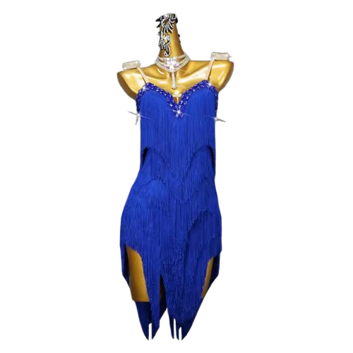 Royal Blue Fringe Latin Dance Dress