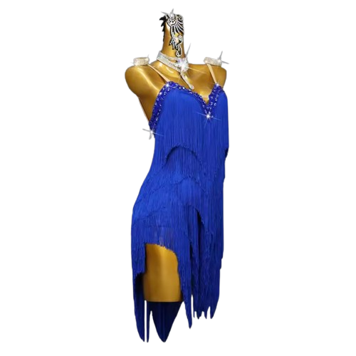 Royal Blue Fringe Latin Dance Dress