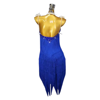 Royal Blue Fringe Latin Dance Dress